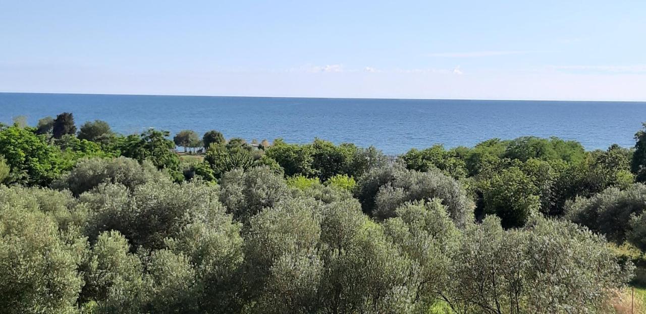 Apartment Istria 잠브라티야 외부 사진